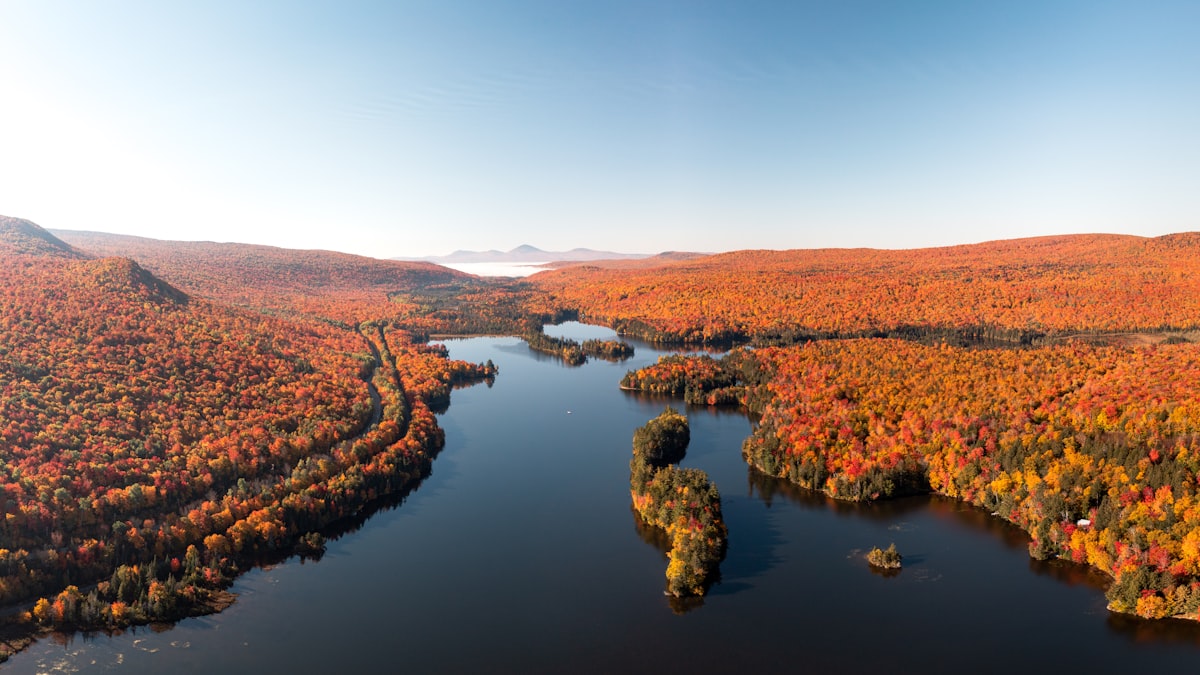 Gilford